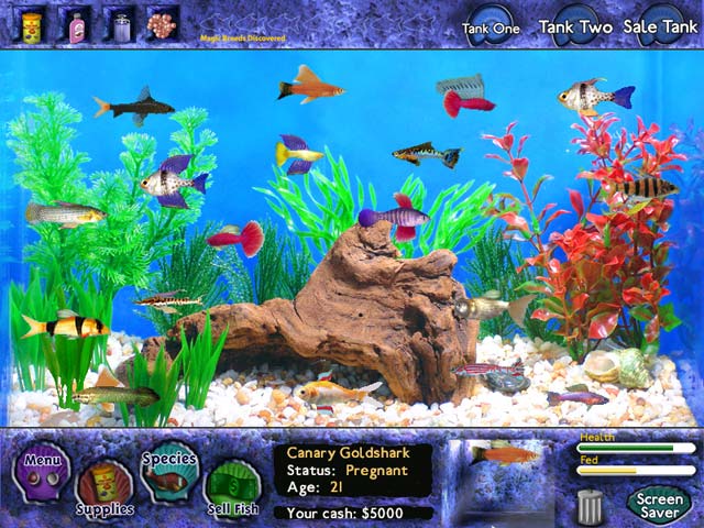 free big fish games to play online